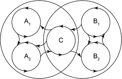 Dimensionality reduction and recurrence analysis reveal hidden structures of striatal pathological states